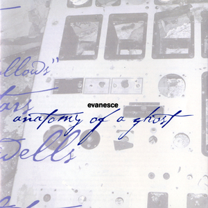 爱啪网在线网站
